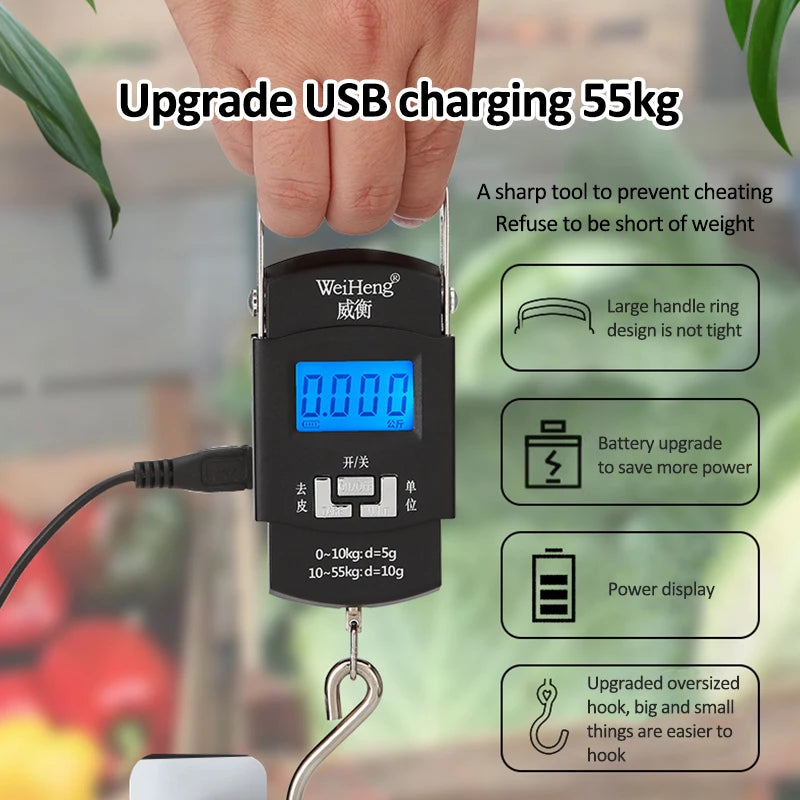 55kg/10g USB Charging Electronic Digital Scale Hanging Hook Fishing Travel Double Precision Luggage Weight Scale Balance Scales