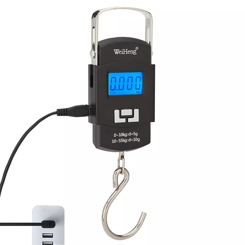 55kg/10g USB Charging Electronic Digital Scale Hanging Hook Fishing Travel Double Precision Luggage Weight Scale Balance Scales