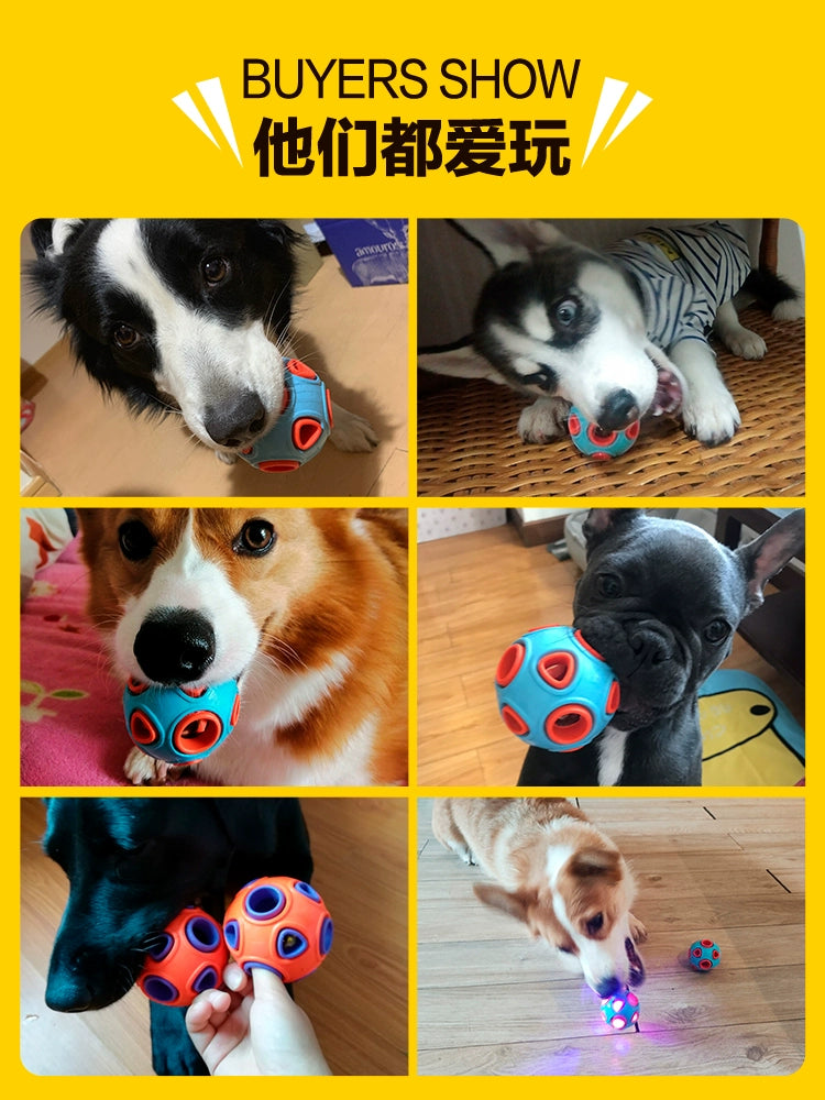 Dog Toy Bite-Resistant Molar Vocal Ball Teddy Corgi Dog Puppies Golden Retriever Small Size Dogs Pet Relieving Stuffy Handy Gadget