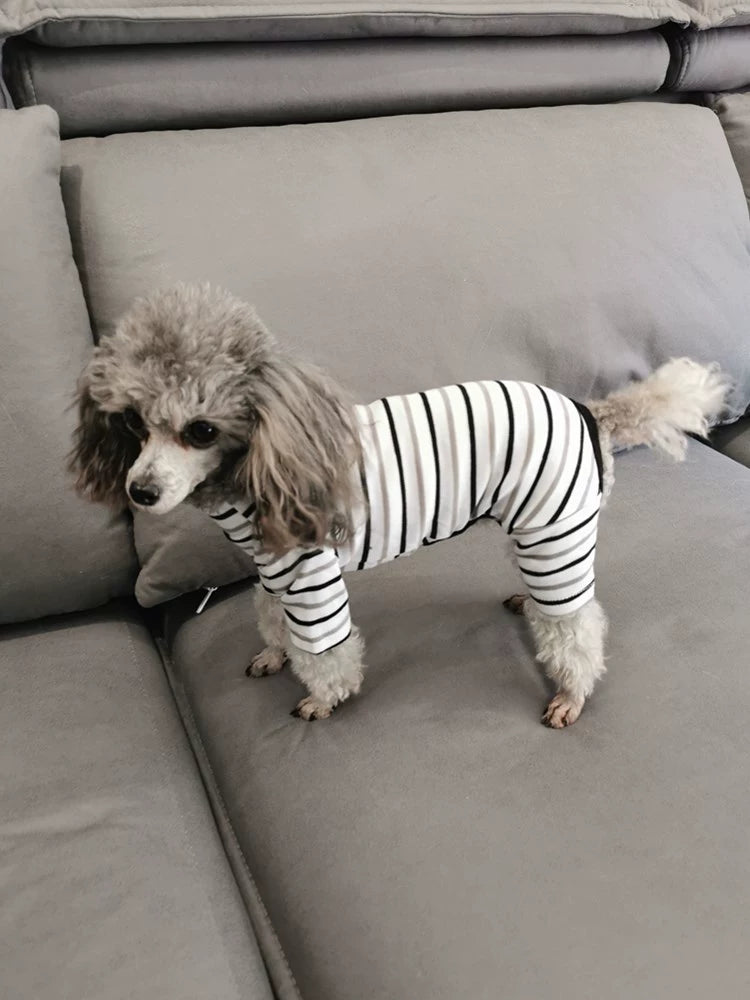 Psychedelic Striped Dog Clothes Spring Pet Autumn and Winter Teddy Four-Legged Home Pajamas Pure Cotton Small Size Dogs