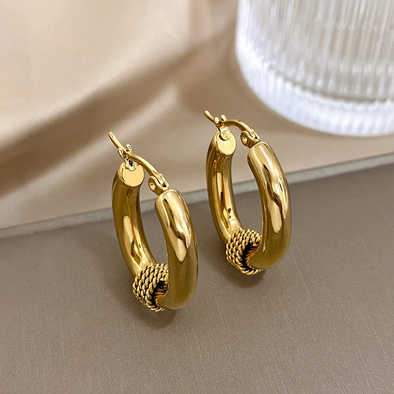 ALLYES U-shaped 316L Stainless Steel Chunky Earrings for Women Fashion Punk Gold Color Geometric Hoop Earrings Jewelry Gifts