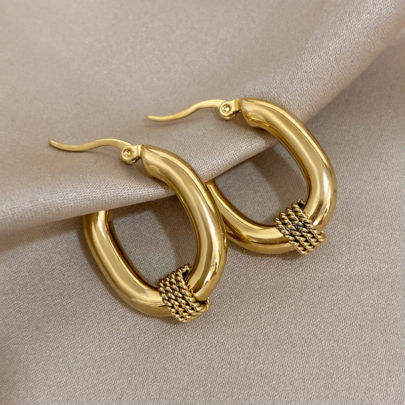 ALLYES U-shaped 316L Stainless Steel Chunky Earrings for Women Fashion Punk Gold Color Geometric Hoop Earrings Jewelry Gifts