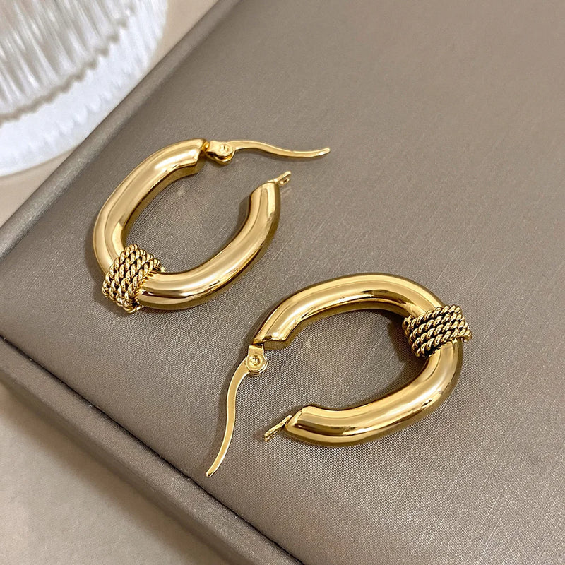 ALLYES U-shaped 316L Stainless Steel Chunky Earrings for Women Fashion Punk Gold Color Geometric Hoop Earrings Jewelry Gifts