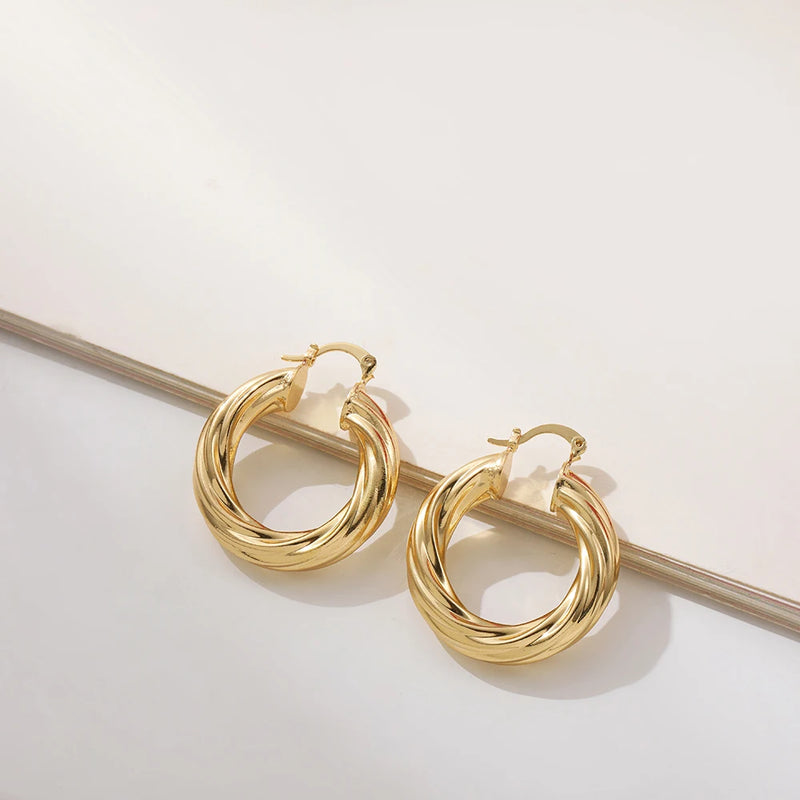 New Trendy Geometric Twisted Thick Hoop Earrings Fashion Gold Color Big Round Circle Earrings for Women Punk Hiphop Jewelry Gift